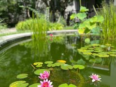 -品湘宴·湖南宁乡菜