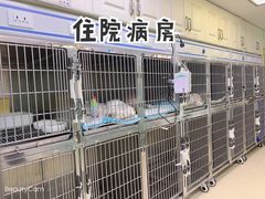 -中农大我爱我爱动物医院(甜水园店)