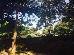 -滨江森林公园-真人CS野战场