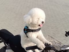 -美联众合24小时·皮肤科·外科·全科诊疗中心(华苑分院)