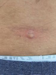 -神农灸道艾灸养生馆