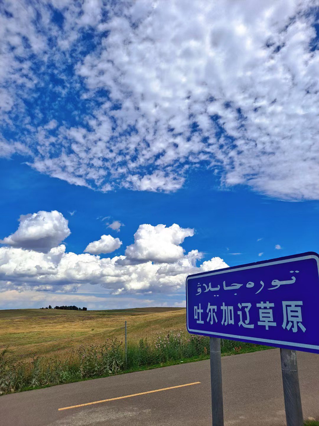 吐尔加辽草原