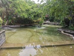 -莲生母婴月子中心(清水河公园店)