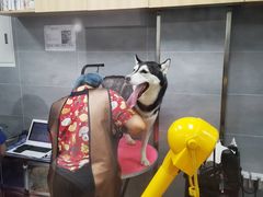 -宠福鑫康馨动物医院·骨科·眼科