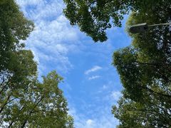 -南京大学杜厦图书馆