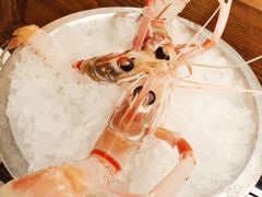 -斯普汇生蚝牛排馆(中骏世界城店)