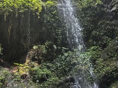 -莫里热带雨林景区