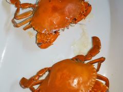 奄仔蟹-顺德了能馆(虎门店)