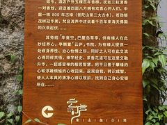 -普陀山雷迪森庄园