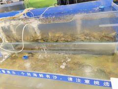 -圣罗巴海鲜自助(黑金店)