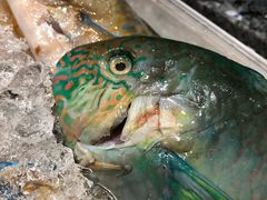 -Isla Sugbu Seafood City