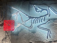 -ARC'TERYX始祖鸟(北京王府中环店)