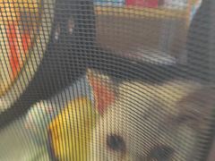 -宠颐生宠物医院外科·内科·皮肤科·影像科(石龙店)