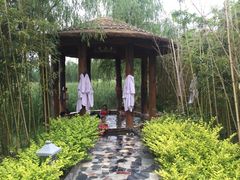 -灵山莲花公园-温泉度假区