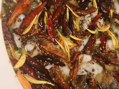 -太二酸菜鱼(汕头苏宁广场店)