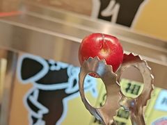 -滋之黑猪自助烤肉(城厢万达店)