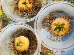 -海胆小馆(东北水饺·春柳店)