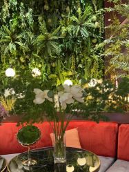 -花隐·美芙炫海菲秀皮肤管理中心