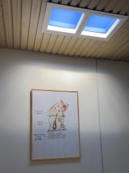 -海菲秀·飞顿牛奶光·LDM官方授权中心美轮美浣瓷感美肌