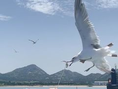 -海驴岛(荣成市)