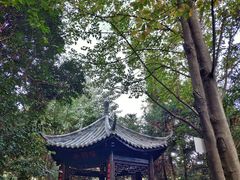 -窦圌山风景区