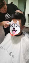 点击看大图 -初心HAlRSALON烫染接发