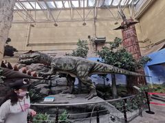 -国家自然博物馆