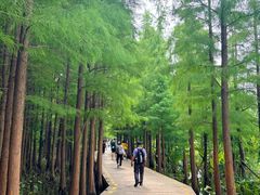 -云龙湖旅游景区