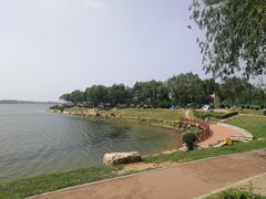 -丁香湖公园
