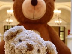 -Salon de Ville浦江汇(上海外滩华尔道夫酒店店)