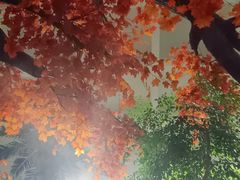 -东方华地城湿地温泉度假区