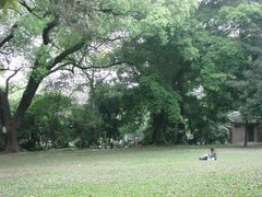 -中山大学学者灵芝(园南路店)