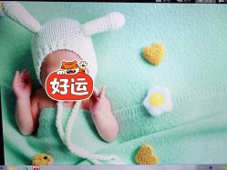 -西瓜庄园儿童摄影