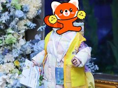 -小银星艺术团(夫子庙校区)