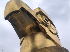 -大金鹰园