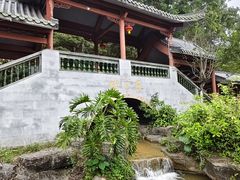 -广州神农草堂中医药博物馆