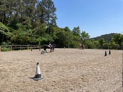 -枫露马术学院(藏书校区)