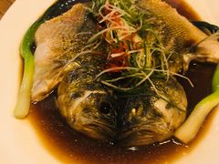 -苹果树下艺术餐厅(通州店)