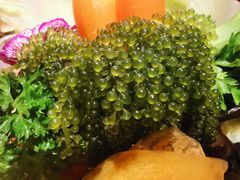-若蘭慈·无国界素食料理(欢乐海岸店)