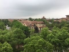 -上海崇明金茂凯悦酒店