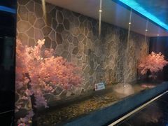 -紫园足道24h养生休闲会所(安吉万达店)