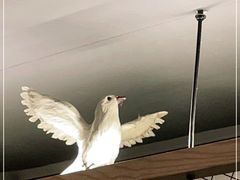 -湖南人家·家传湖南菜(水围店)