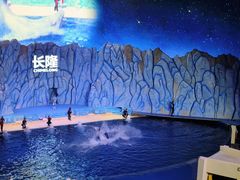 -珠海长隆海洋王国
