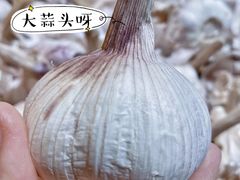 -旺豪阳光超市(友谊阳光城店)