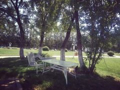 场地-天津武清北运河郊野公园房车露营地