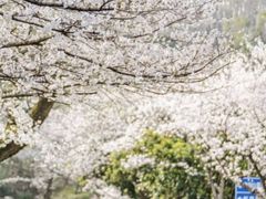 -长春观