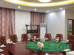 包厢-杨正宗烤全羊(北二环店)