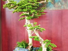 -东方红海鲜百汇(国际大厦店)