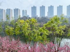 -重庆彩云湖湿地公园