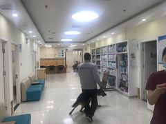 -美联众合动物医院·24h京西诊疗中心